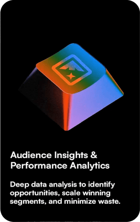 Audience Insights & Analytics
